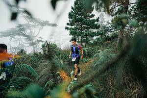 BIB: 
                            <button type="button" onclick="openModal(25258240)" class="btn btn-primary btn-sm float-right btn-popup" data-toggle="modal" data-target=".modal-high-quality">
                        <i class="fas fa-shopping-cart"></i> Add to Cart
                    </button>
                                            <button type="button" onclick="isThisMe(25258240, true)" class="btn btn-success btn-sm float-right btn-popup btn-isme hidden" data-toggle="tooltip" data-placement="bottom" title="นี่คือรูปของคุณใช่ไหม คลิกที่นี่เพื่อเอาเข้าอัลบั้ม">
                        <i class="fas fa-plus"></i> Add to album
                    </button>
                    <button type="button" onclick="isThisMe(25258240, false)" class="btn btn-warning btn-sm float-right btn-popup btn-isnotme hidden">
                        <i class="fas fa-ban"></i> Remove from album
                    </button>